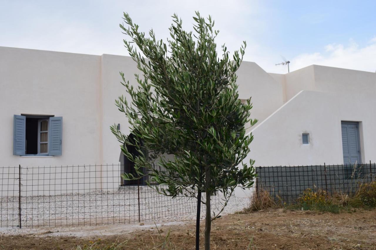 Ferienwohnung Ktima Panagia Glinado Naxos Exterior foto